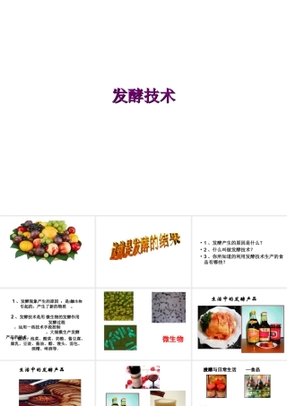八年级生物下册 第25章 第一节 发酵技术课件2 （新版）北师大版