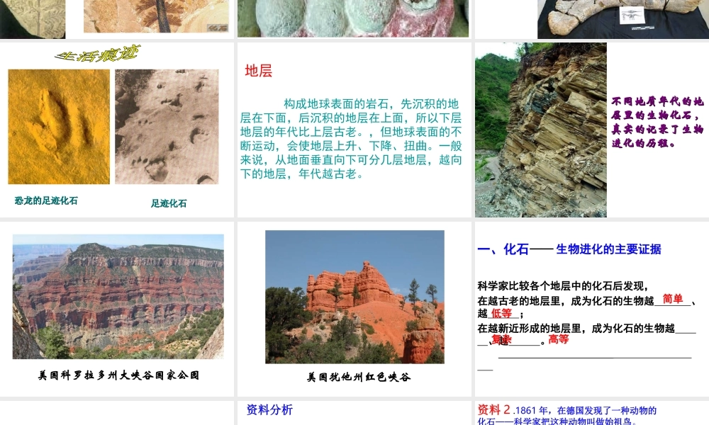 八年级生物下册 第7单元 生命的延续与进化 第23章 第2节《生物进化的历程》课件2 （新版）苏科版-（新版）苏科版初中八年级下册生物课件