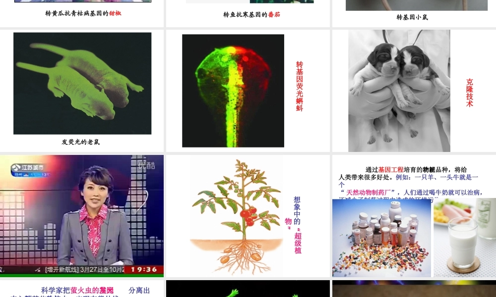 八年级生物下册 第八单元 第三章 生物技术的发展对人类未来的影响课件 冀教版-冀教级下册生物课件