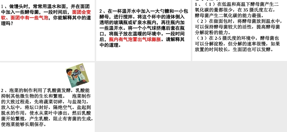 八年级生物下册 第25章 第一节 发酵技术课件3 （新版）北师大版