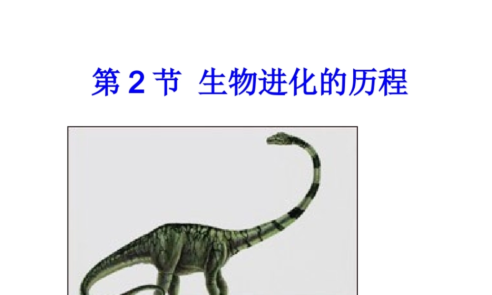 八年级生物下册 第7单元 生命的延续与进化 第23章 第2节《生物进化的历程》课件2 （新版）苏科版-（新版）苏科级下册生物课件