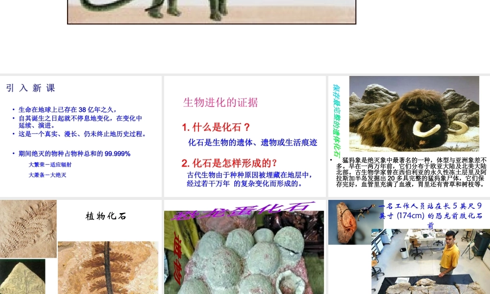 八年级生物下册 第7单元 生命的延续与进化 第23章 第2节《生物进化的历程》课件2 （新版）苏科版-（新版）苏科级下册生物课件