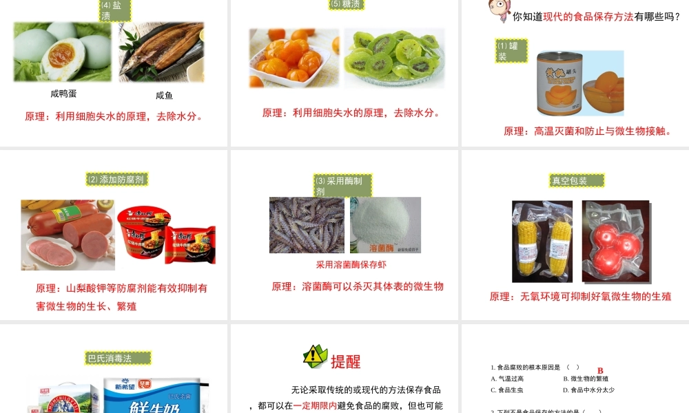 八年级生物下册 第九单元 生物技术 第二十三章 日常生活中的生物技术 第二节 食品保存课件2（新版）苏教版-（新版）苏教级下册生物课件