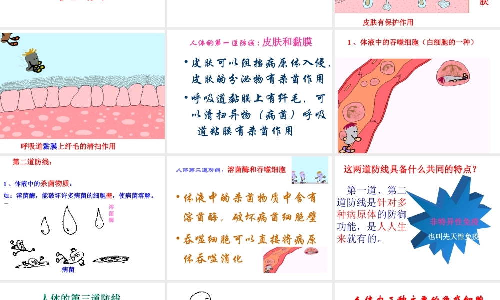 八年级生物下册 第八单元 第一章 第二节 免疫和计划免疫课件 （新版）新人教版-（新版）新人教级下册生物课件