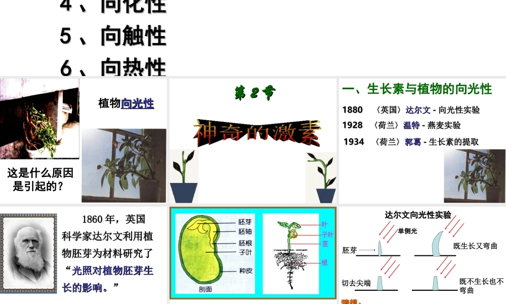 八年级科学上册 神奇的激素（第1课时）课件 浙教版