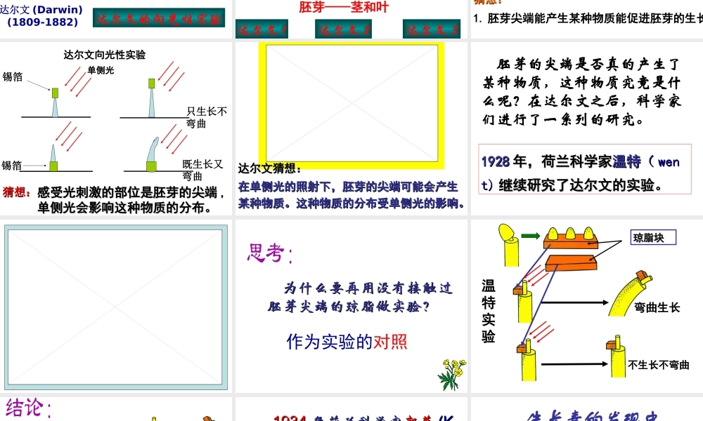 八年级科学上册 神奇的激素（第1课时）课件 浙教版
