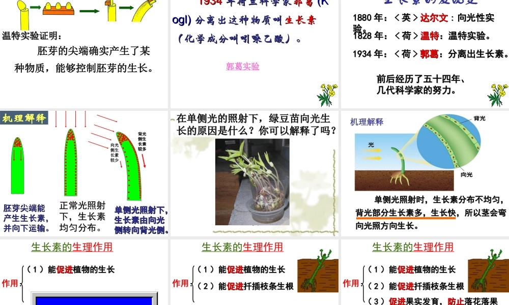 八年级科学上册 神奇的激素（第1课时）课件 浙教版