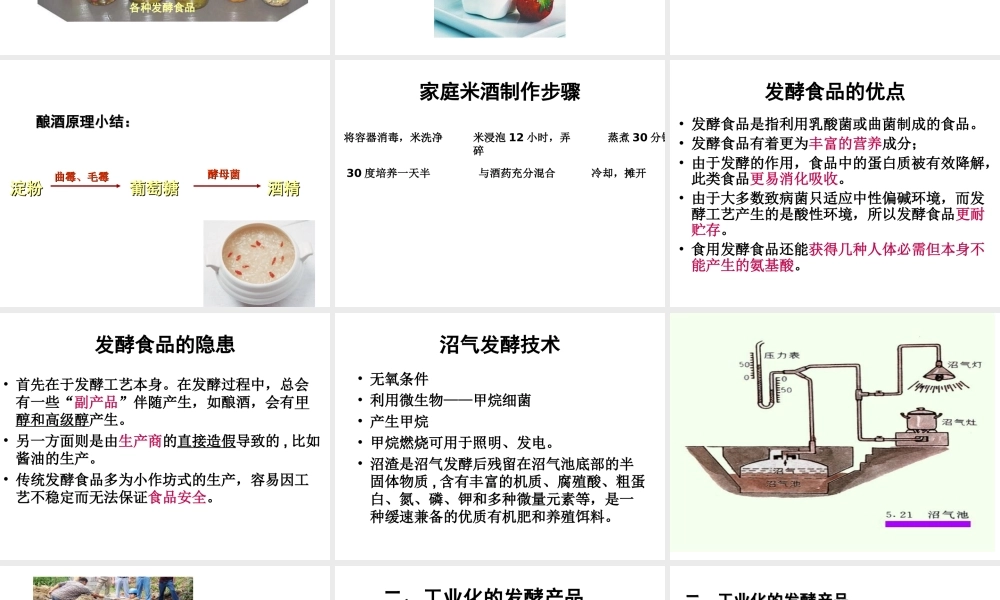 八年级生物下册 第25章 第一节 发酵技术课件4 （新版）北师大版