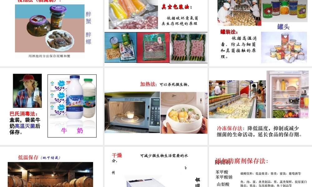 八年级生物下册 第八单元 第一章 第二节 食品保鲜技术课件 冀教版-冀教版初中八年级下册生物课件