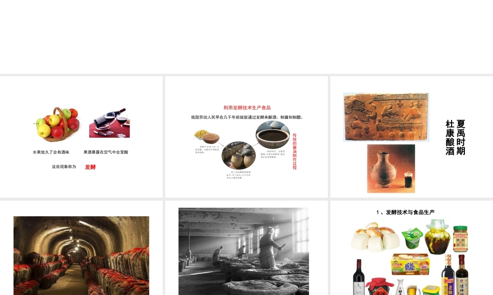 八年级生物下册 第九单元 生物技术 第二十三章 日常生活中的生物技术 第一节 源远流长的发酵技术课件2（新版）苏教版-（新版）苏教版初中八年级下册生物课件