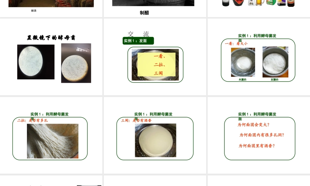 八年级生物下册 第九单元 生物技术 第二十三章 日常生活中的生物技术 第一节 源远流长的发酵技术课件2（新版）苏教版-（新版）苏教版初中八年级下册生物课件