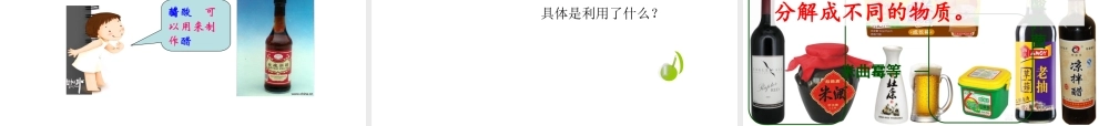 八年级生物下册 第九单元 生物技术 第二十三章 日常生活中的生物技术 第一节 源远流长的发酵技术课件2（新版）苏教版-（新版）苏教版初中八年级下册生物课件