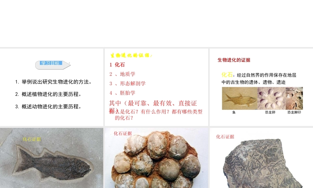 八年级生物下册 第7单元 生命的延续与进化 第23章 第2节《生物进化的历程》课件3 （新版）苏科版-（新版）苏科级下册生物课件