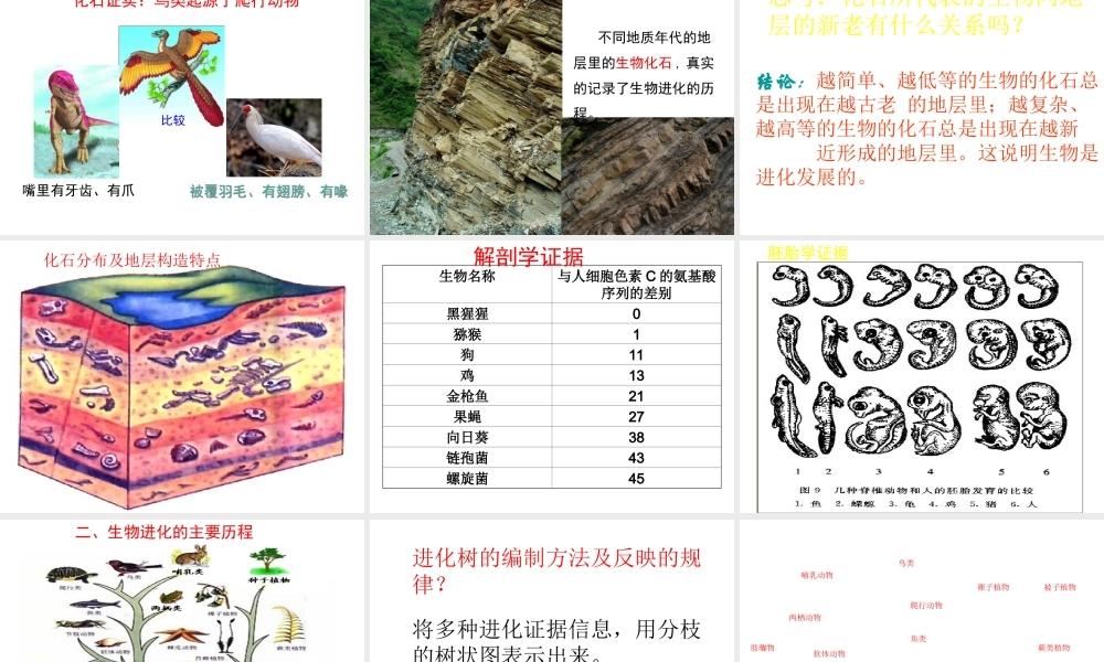 八年级生物下册 第7单元 生命的延续与进化 第23章 第2节《生物进化的历程》课件3 （新版）苏科版-（新版）苏科级下册生物课件