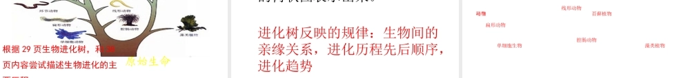 八年级生物下册 第7单元 生命的延续与进化 第23章 第2节《生物进化的历程》课件3 （新版）苏科版-（新版）苏科级下册生物课件