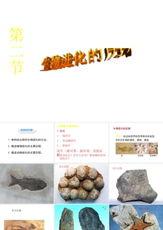 八年级生物下册 第7单元 生命的延续与进化 第23章 第2节《生物进化的历程》课件3 （新版）苏科版-（新版）苏科级下册生物课件