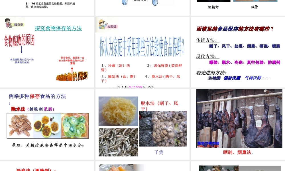 八年级生物下册 第八单元 第一章 第二节 食品保鲜技术课件 冀教版-冀教级下册生物课件