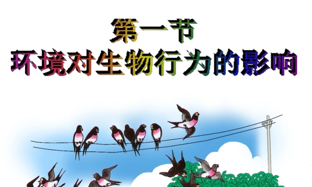 八年级科学上册 第一节环境对生物行为的影响课件 浙教版