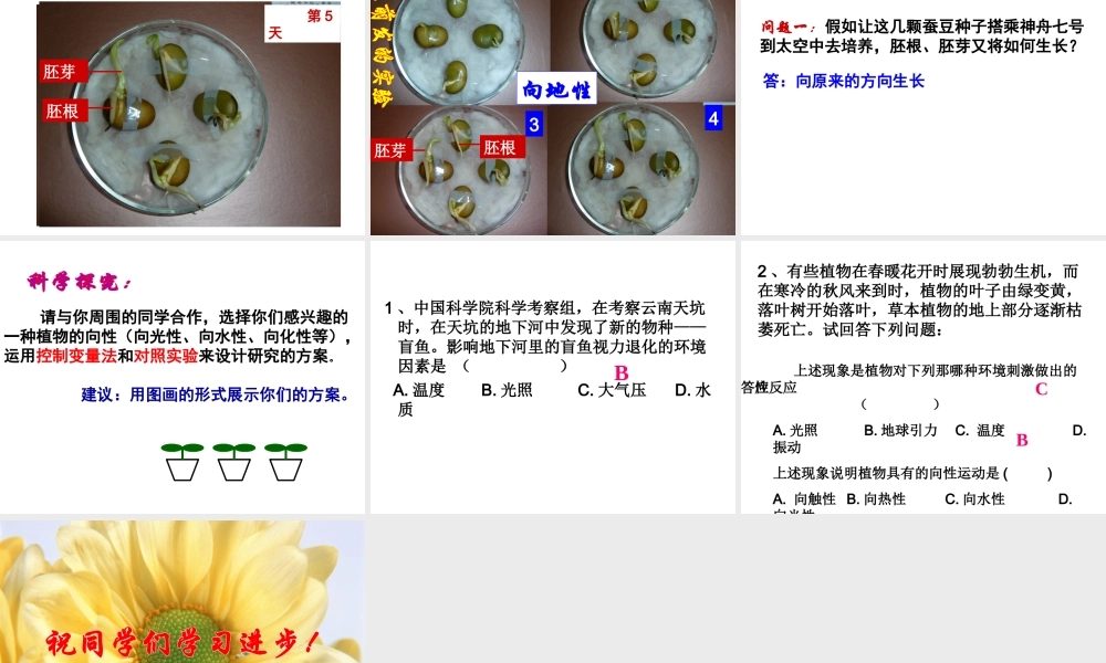 八年级科学上册 第一节环境对生物行为的影响课件 浙教版