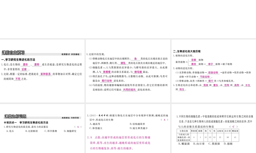 八年级生物下册 第7单元 生命的延续与进化 第23章 第2节《生物进化的历程》探究课件 （新版）苏科版-（新版）苏科版初中八年级下册生物课件
