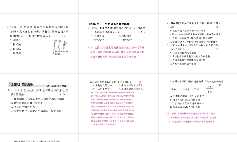 八年级生物下册 第7单元 生命的延续与进化 第23章 第2节《生物进化的历程》探究课件 （新版）苏科版-（新版）苏科版初中八年级下册生物课件