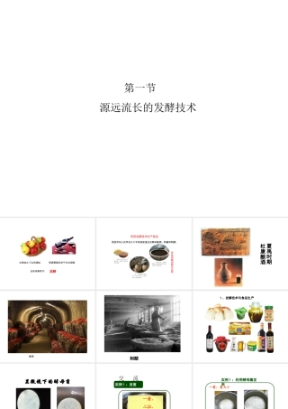 八年级生物下册 第九单元 生物技术 第二十三章 日常生活中的生物技术 第一节 源远流长的发酵技术课件2（新版）苏教版-（新版）苏教级下册生物课件