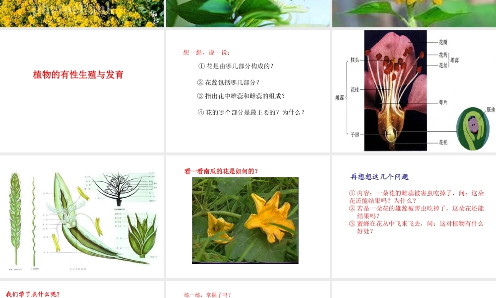 八年级科学上册 植物的有性生殖与发育课件 华东师大版