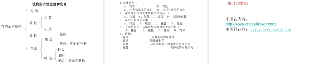 八年级科学上册 植物的有性生殖与发育课件 华东师大版