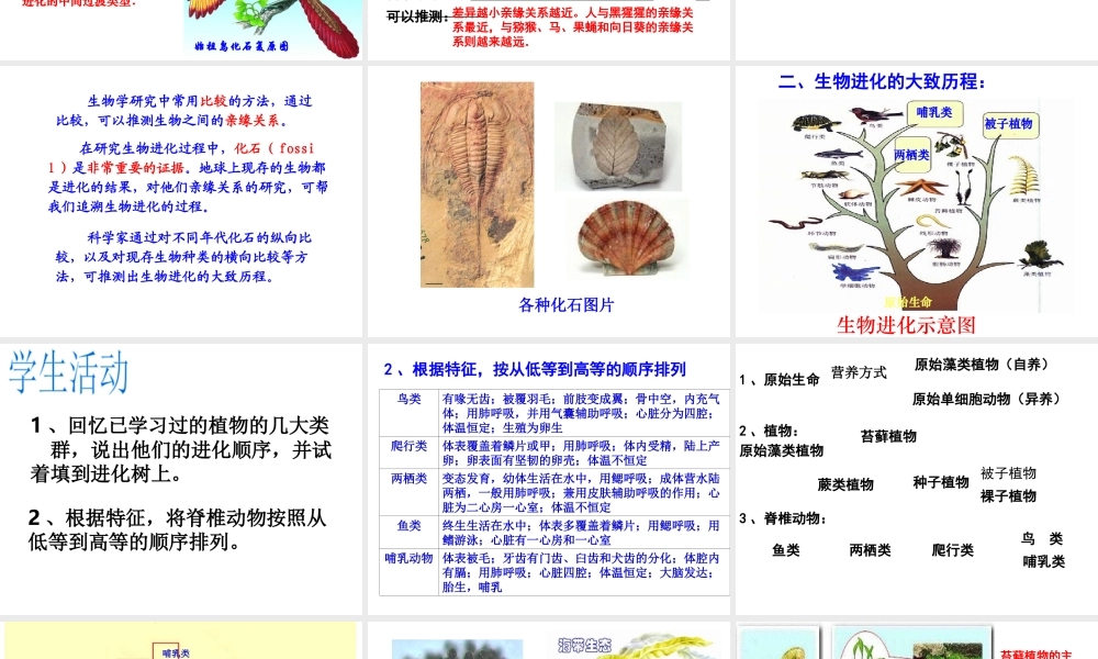 八年级生物下册 第7单元 生命的延续与进化 第23章 第2节《生物进化的历程》同步课件 （新版）苏科版-（新版）苏科版初中八年级下册生物课件