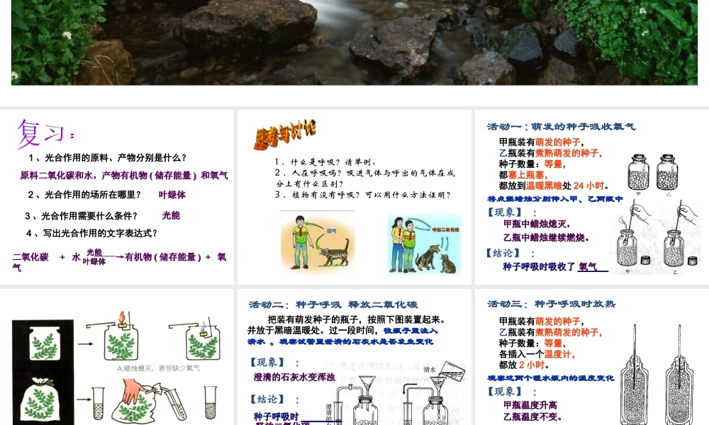 八年级科学上册 植物体内有机物的制造和分解、利用（二）呼吸作用课件 华师大版