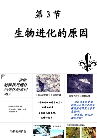 八年级生物下册 第7单元 生命的延续与进化 第23章 第3节《生物进化的原因》教学课件 （新版）苏科版-（新版）苏科版初中八年级下册生物课件