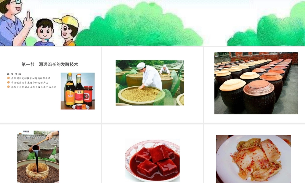 八年级生物下册 第九单元 生物技术 第二十三章 日常生活中的生物技术 第一节 源远流长的发酵技术课件3（新版）苏教版-（新版）苏教级下册生物课件
