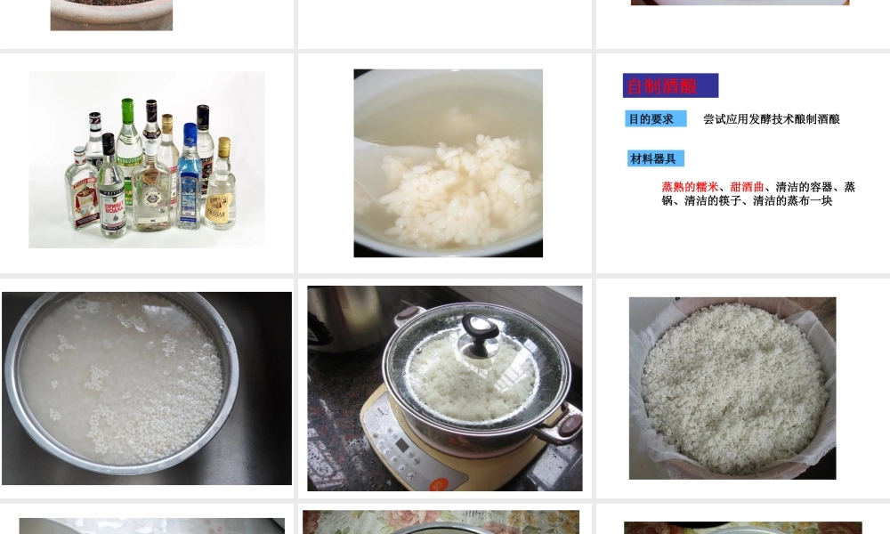 八年级生物下册 第九单元 生物技术 第二十三章 日常生活中的生物技术 第一节 源远流长的发酵技术课件3（新版）苏教版-（新版）苏教级下册生物课件