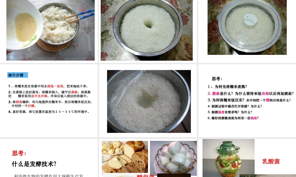 八年级生物下册 第九单元 生物技术 第二十三章 日常生活中的生物技术 第一节 源远流长的发酵技术课件3（新版）苏教版-（新版）苏教级下册生物课件