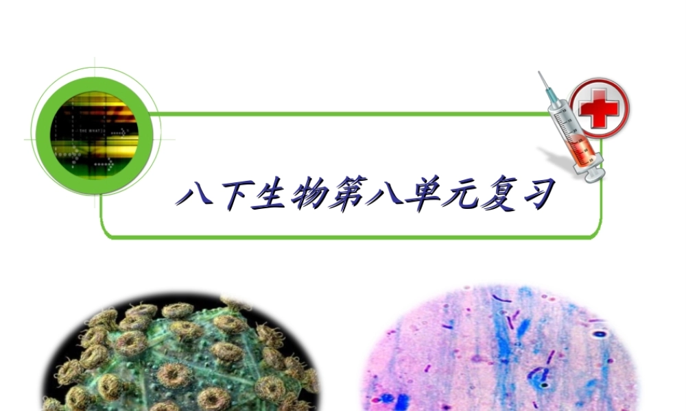 八年级生物下册 第八单元总复习课件 人教新课标版