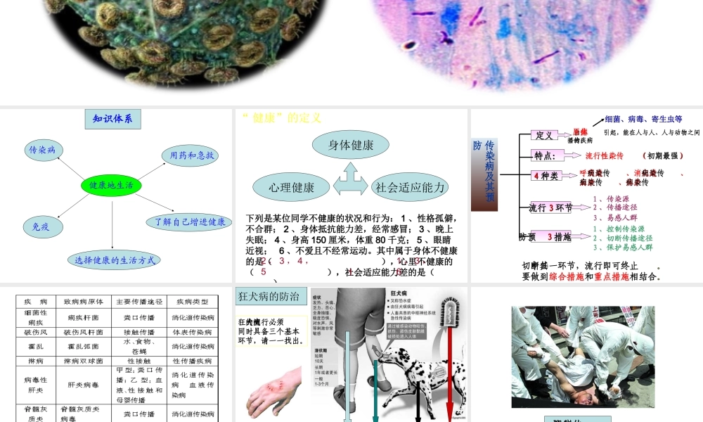 八年级生物下册 第八单元总复习课件 人教新课标版