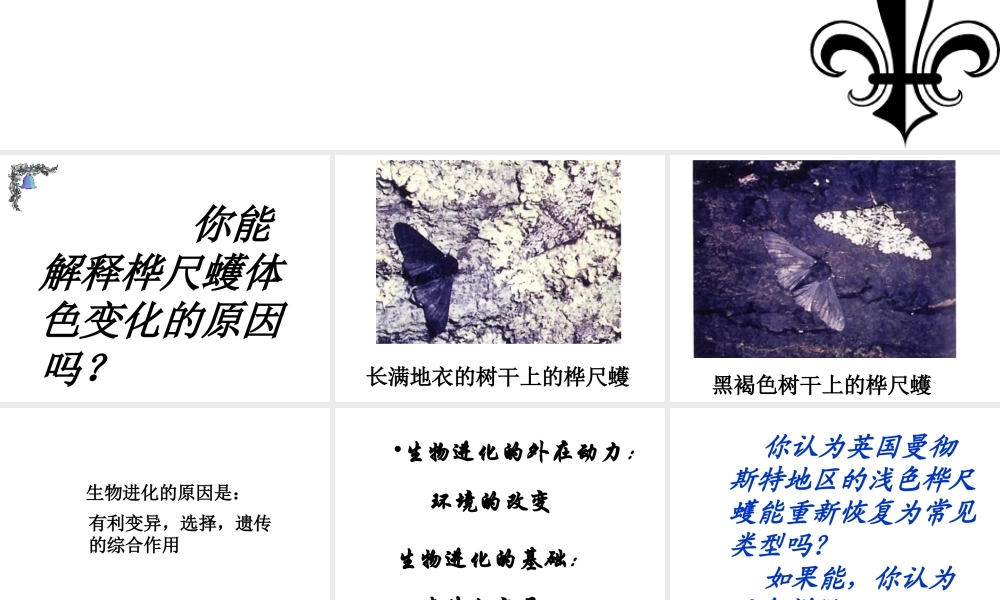 八年级生物下册 第7单元 生命的延续与进化 第23章 第3节《生物进化的原因》教学课件 （新版）苏科版-（新版）苏科级下册生物课件