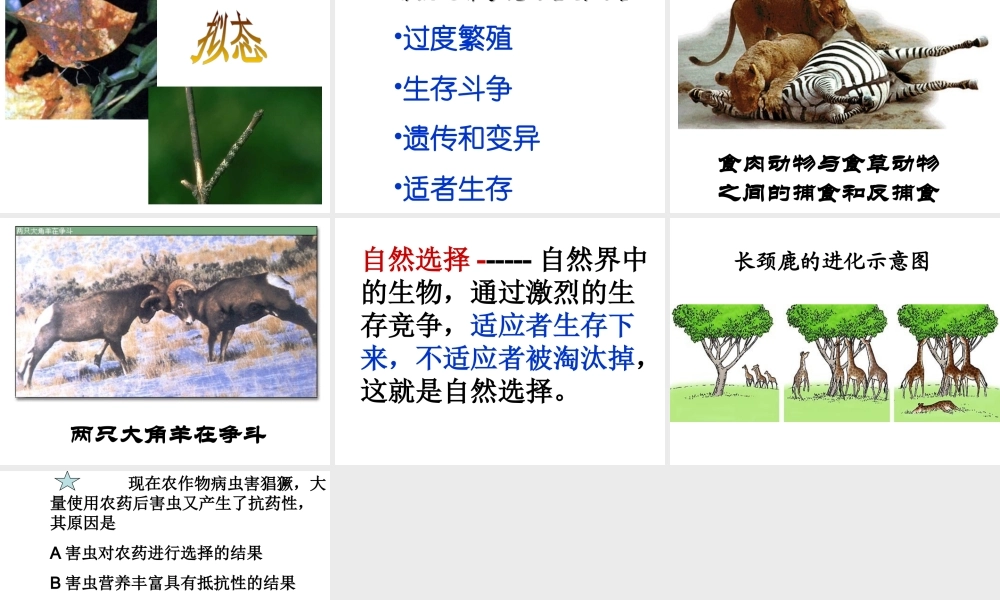 八年级生物下册 第7单元 生命的延续与进化 第23章 第3节《生物进化的原因》教学课件 （新版）苏科版-（新版）苏科级下册生物课件