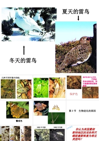 八年级生物下册 第7单元 生命的延续与进化 第23章 第3节《生物进化的原因》课件1 （新版）苏科版-（新版）苏科版初中八年级下册生物课件