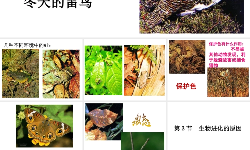 八年级生物下册 第7单元 生命的延续与进化 第23章 第3节《生物进化的原因》课件1 （新版）苏科版-（新版）苏科级下册生物课件