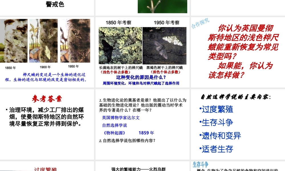 八年级生物下册 第7单元 生命的延续与进化 第23章 第3节《生物进化的原因》课件1 （新版）苏科版-（新版）苏科级下册生物课件