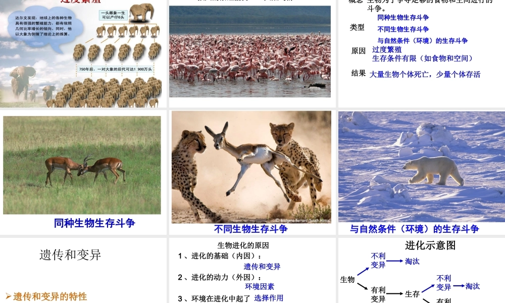 八年级生物下册 第7单元 生命的延续与进化 第23章 第3节《生物进化的原因》课件1 （新版）苏科版-（新版）苏科级下册生物课件