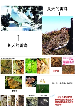 八年级生物下册 第7单元 生命的延续与进化 第23章 第3节《生物进化的原因》课件1 （新版）苏科版-（新版）苏科级下册生物课件