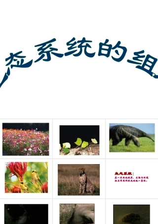 八年级生物下册 第25章第1节《生态系统的组成》课件 苏教版