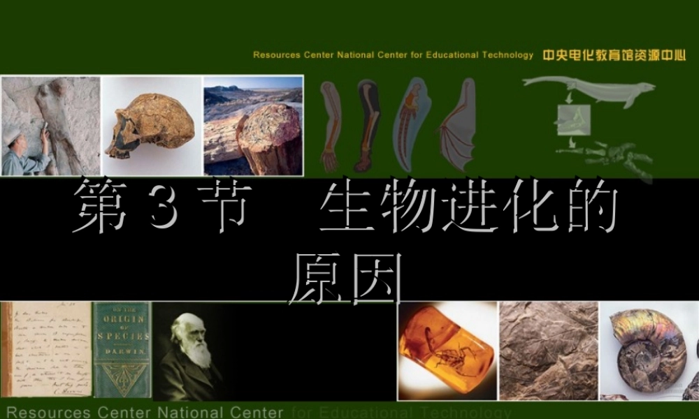 八年级生物下册 第7单元 生命的延续与进化 第23章 第3节《生物进化的原因》课件2 （新版）苏科版-（新版）苏科版初中八年级下册生物课件