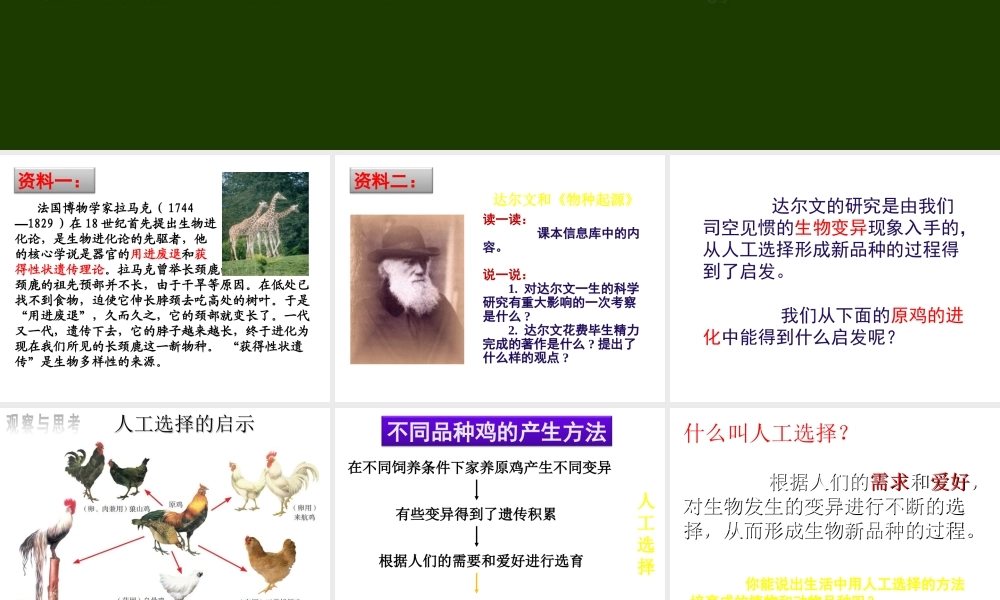 八年级生物下册 第7单元 生命的延续与进化 第23章 第3节《生物进化的原因》课件2 （新版）苏科版-（新版）苏科版初中八年级下册生物课件