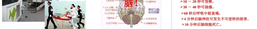 八年级生物下册 第八章 第二章 用药和急救课件 新人教版-新人教级下册生物课件
