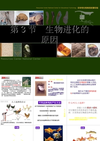 八年级生物下册 第7单元 生命的延续与进化 第23章 第3节《生物进化的原因》课件2 （新版）苏科版-（新版）苏科级下册生物课件
