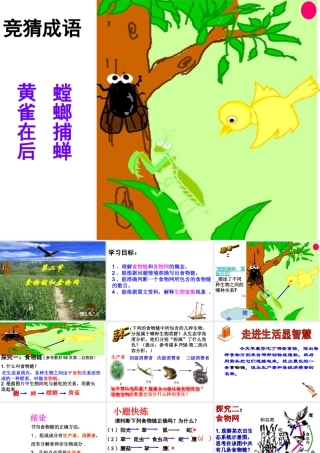 八年级生物下册 第六单 第二章 食物链和食物网课件 济南版-济南版初中八年级下册生物课件
