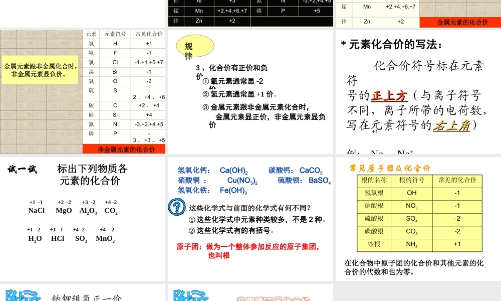 八年级科学上册《化合价》课件华师大版